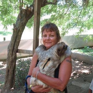 Meet your Posher, Dixie